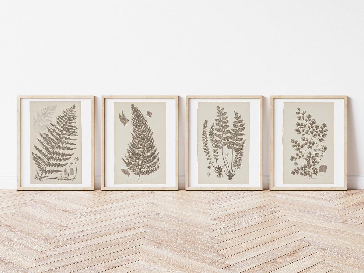 Antique Ferns Set of 4 In French Gray and Green