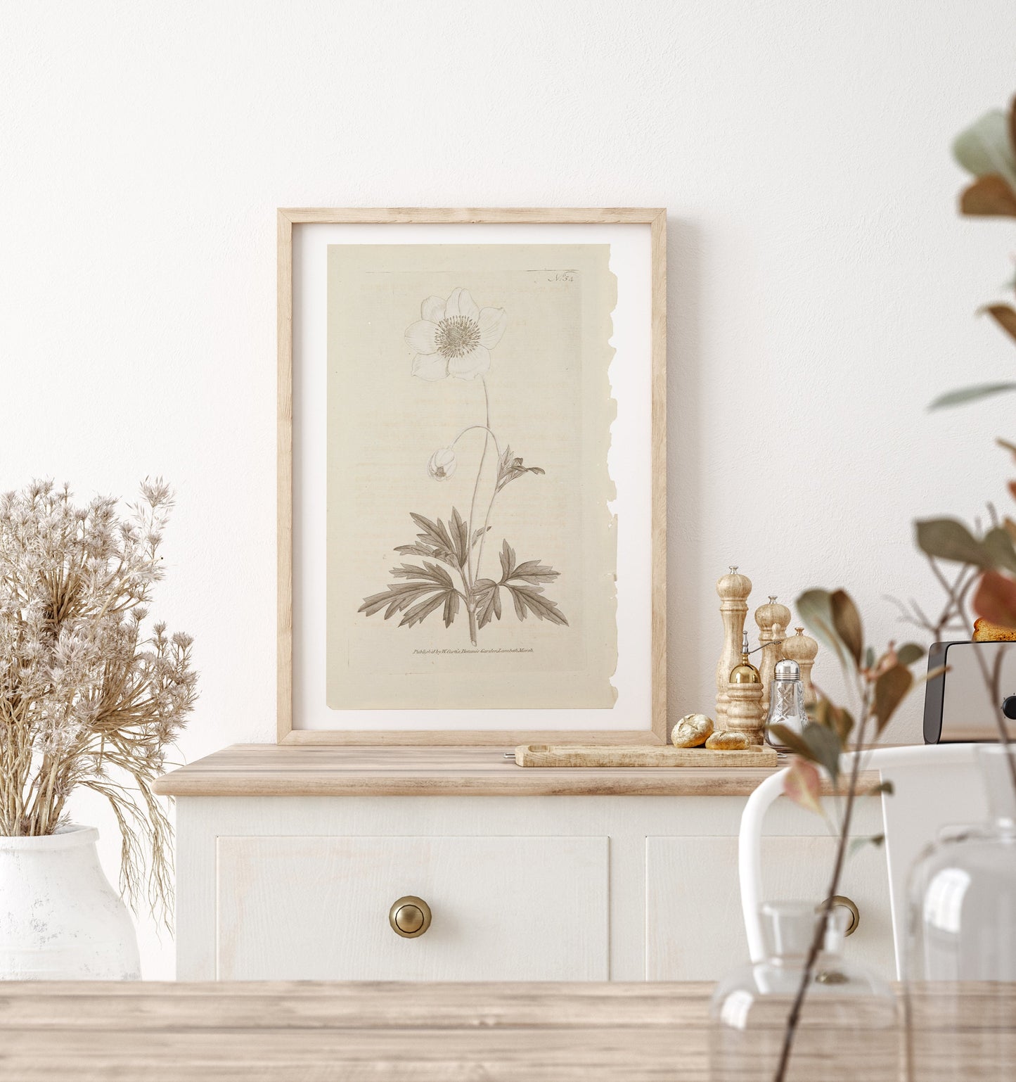 Vintage Wall Art Botanical Prints - Set of 4 Unframed