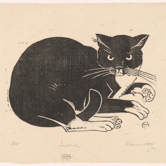 Cat by Henri van der Stok