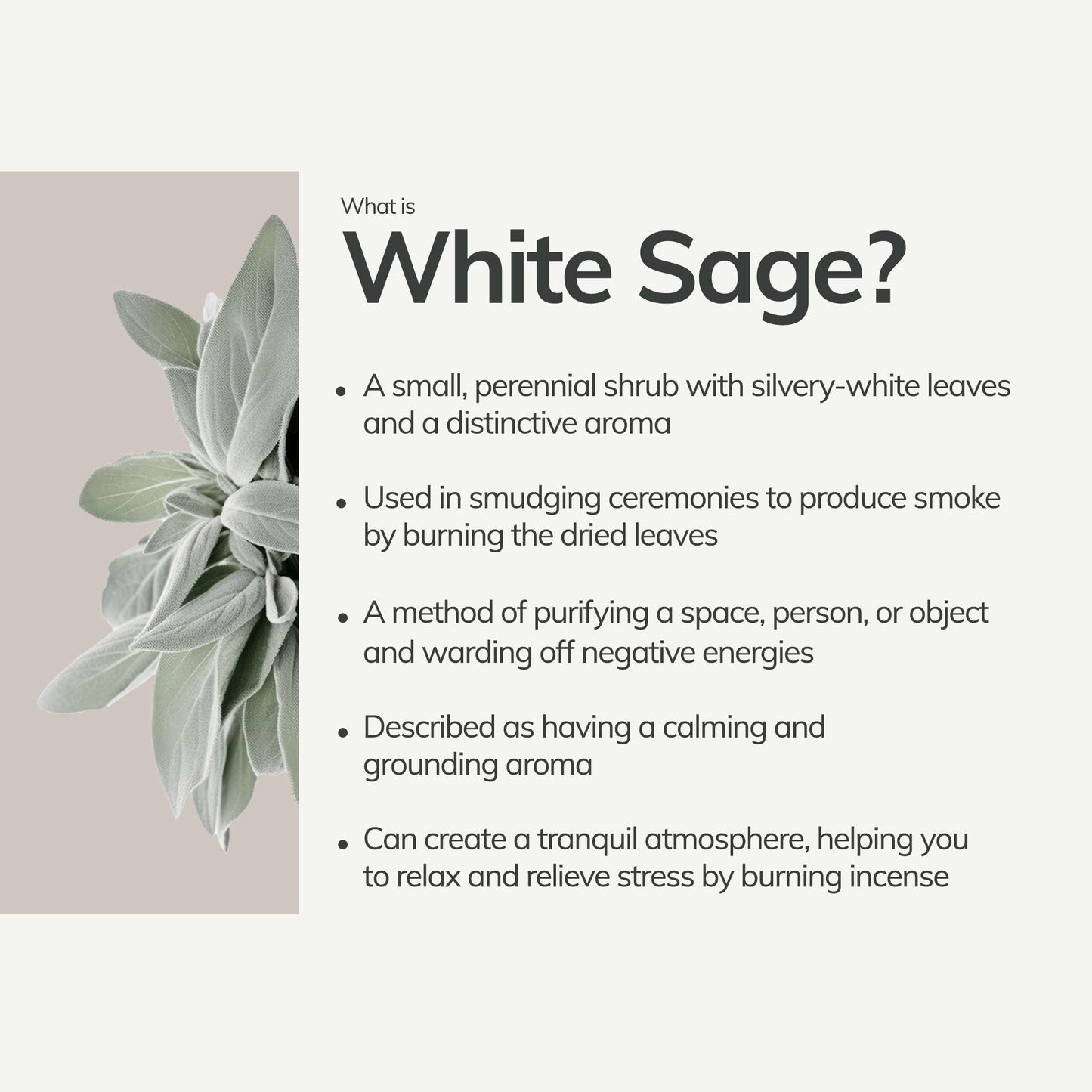 Organic White Sage Smudge Stick